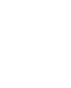 R2V3