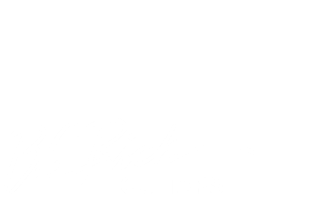 bc rich bc rich
