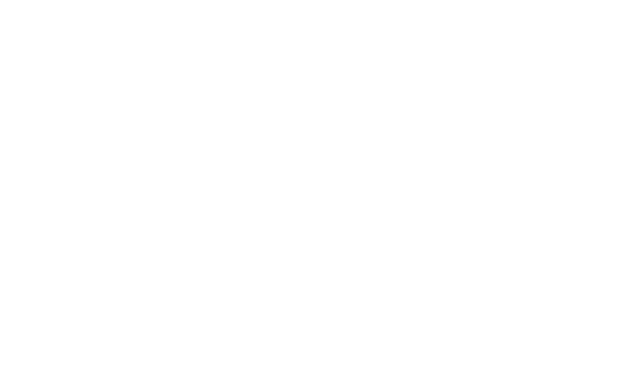 ivox ivox