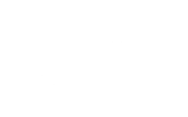 payless payless